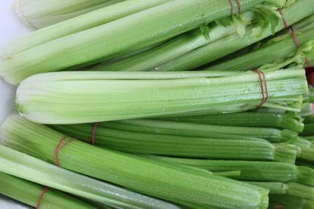 Freshness Hand-Picked For You
