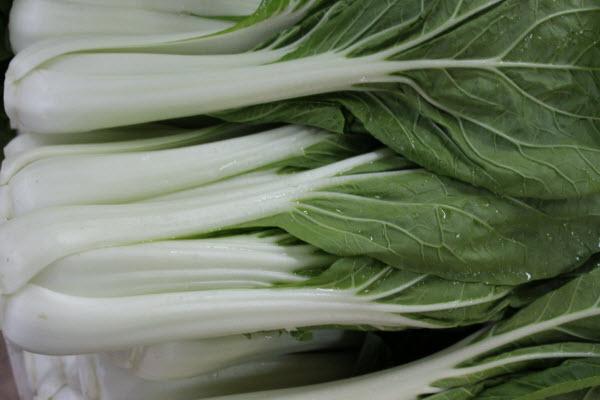 Local Organic Bai Cai