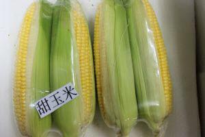 Organic Australia Sweet Corn