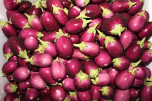 Organic Baby Brinjal