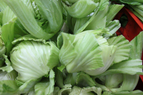 Organic Da Cai Lei