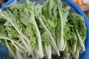 Organic Huang Bai Miao