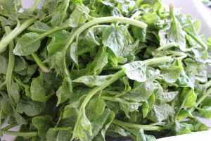 Organic Huang De Miao