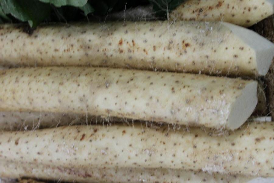 Organic Japan Huai Shan - 800g