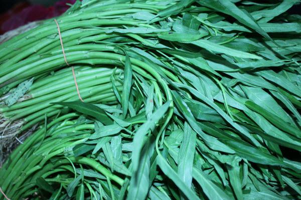 Organic Kang Kong