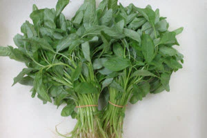 Organic Local Baby Spinach Jian Ye
