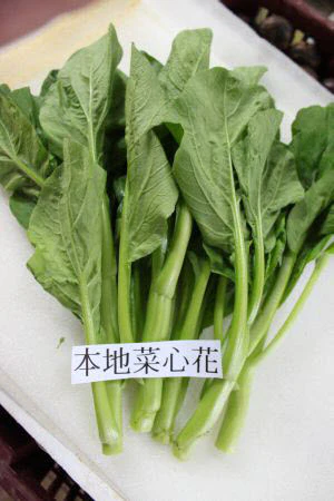Organic Local Cai Xin Flower