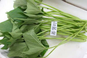 Organic Local Sweet Potato Leaf