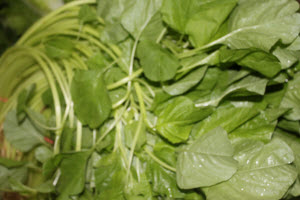 Organic Yuan Yue Spinach